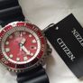 Brand New Citizen Eco Drive Divers Watch Image 2