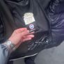 Canada Goose Hybrid Image 2