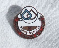 ANGLESEY ALUMINIUM METAL LTD - 5 Years Service enamel badge (1970's). A scarce badge.