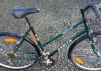 Ladies Bike
