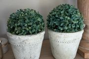 Two pots with faux trees