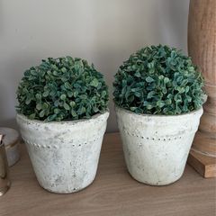 Two pots with faux trees