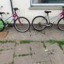 bikes Image 5