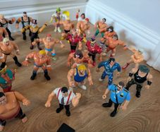 WWF Figures and Ring