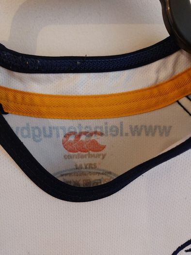 Leinster rugby jersey