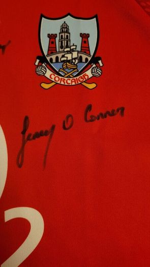 Cork Hurling Jersey
