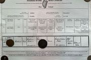 Michael Collins - Irish Hero - Birth Certificate - FREE POSTAGE
