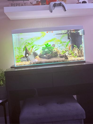 Aquarium & Table Stand