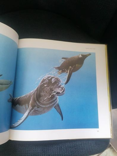 Ian Jackson's Animal Portraits Book