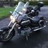 Blackbird6302