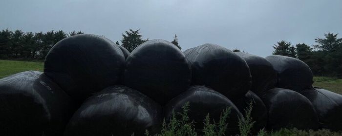 Silage Bales