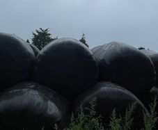 Silage Bales