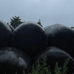 Silage Bales
