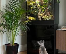 Terrarium