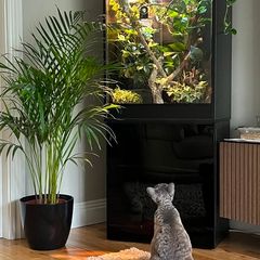 Terrarium