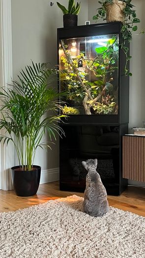 Terrarium