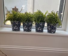 faux plants with patterned tin containers