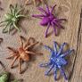 Set of 8 sparkly spiders Image 3