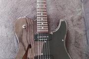 Fender Jim Adkins telecaster