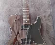 Fender Jim Adkins telecaster