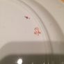 Rare Antique Ashworth Plate Image 3