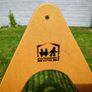 Montessori Pickler Climbing Frame Image 2