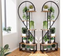 2x Half-Heart Plant Stand  Metal Flower Display Rack with Hooks  Holds up to 20 Pots