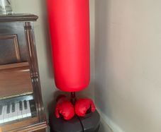 freestanding Punching Bag