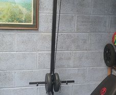 vidaXL Wall-Mounted Home Gym