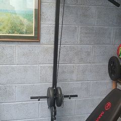 vidaXL Wall-Mounted Home Gym