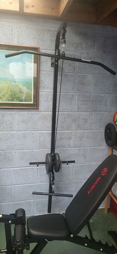 vidaXL Wall-Mounted Home Gym