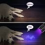LED UV Flashlight Image 2