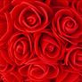Rose bear 25 cm free packaging Image 10