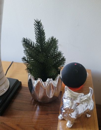 Artificial Cypress Plant in Silver Ceramic Plant Pot