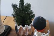 Artificial Cypress Plant in Silver Ceramic Plant Pot