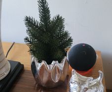 Artificial Cypress Plant in Silver Ceramic Plant Pot