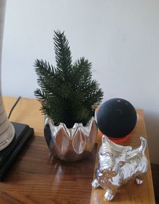 Artificial Cypress Plant in Silver Ceramic Plant Pot