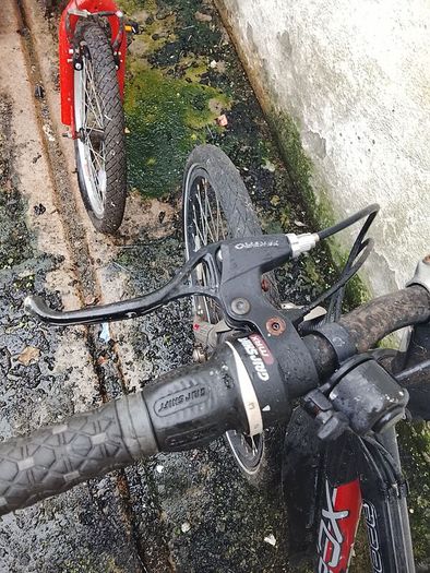 Apollo Xc.60 S ladies mountain bike