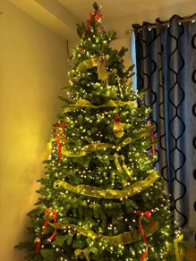 christmas tree
