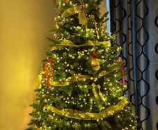 christmas tree