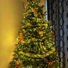 christmas tree