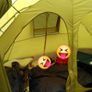 8 man Gelert tent set Image 5