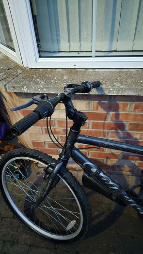carrera mtb mountain bike