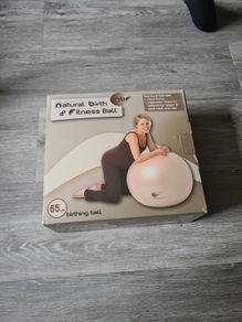 fitness ball/pregnancy ball
