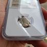 Roman Empire Severus Denarius Toned Coin 'Mars Advancing' Image 4