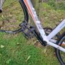 Liv Avil Image 7