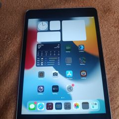 Apple iPad Mini 4 128GB leixlip area