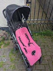 Free Buggy with cushion