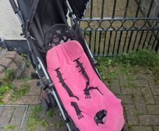 Free Buggy with cushion