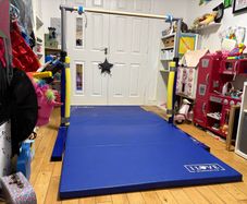 Adjustable Gymnastics High Bar and Gymnastics Mat